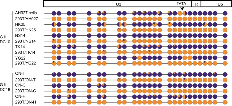 FIG 5