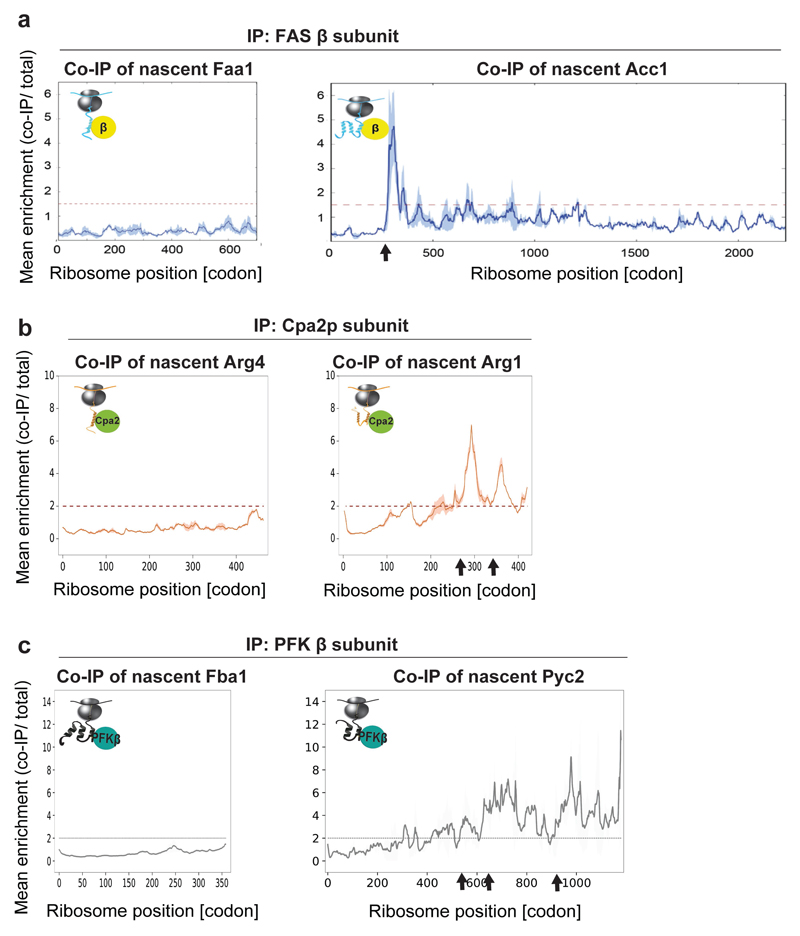 Extended Data Figure 7