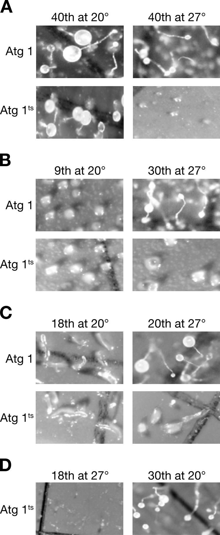 FIG. 8.