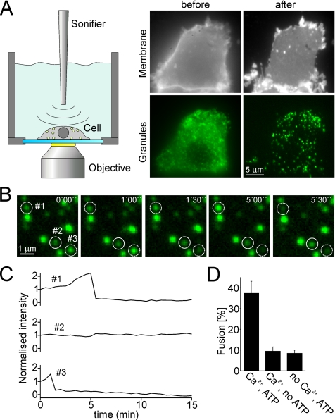 Figure 2.