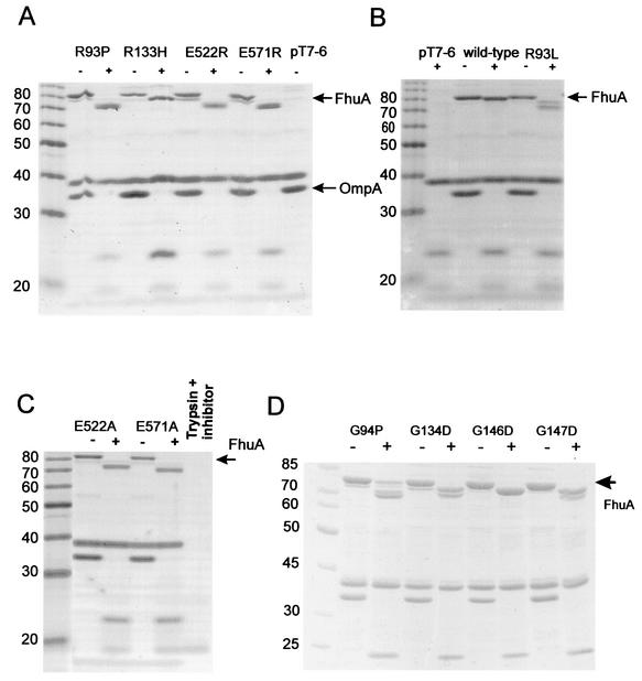 FIG. 5.