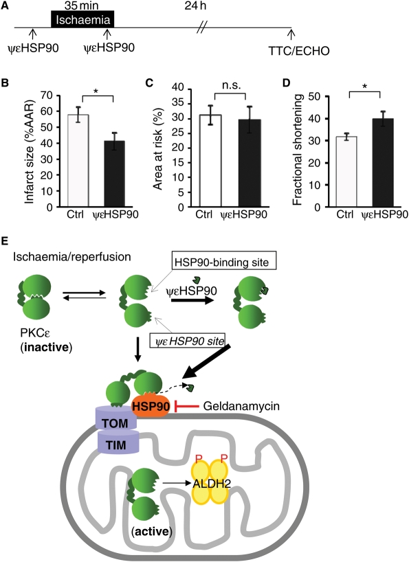 Figure 6