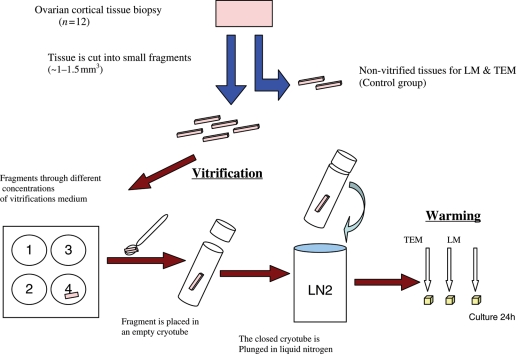 Figure 1