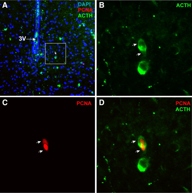 Figure 3.