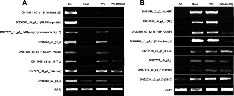 Fig. 9