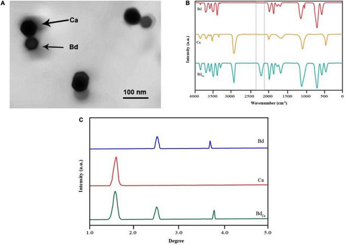 FIGURE 1