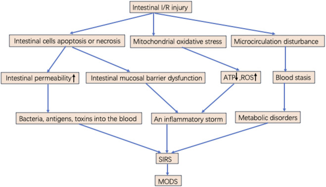 FIGURE 1