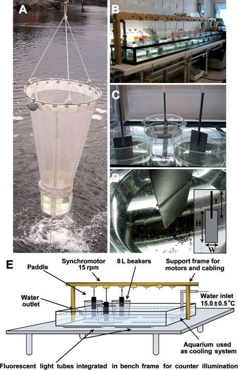 Fig. 4.