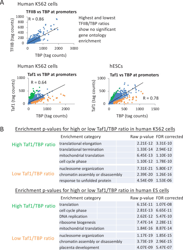 Figure 6—figure supplement 2.