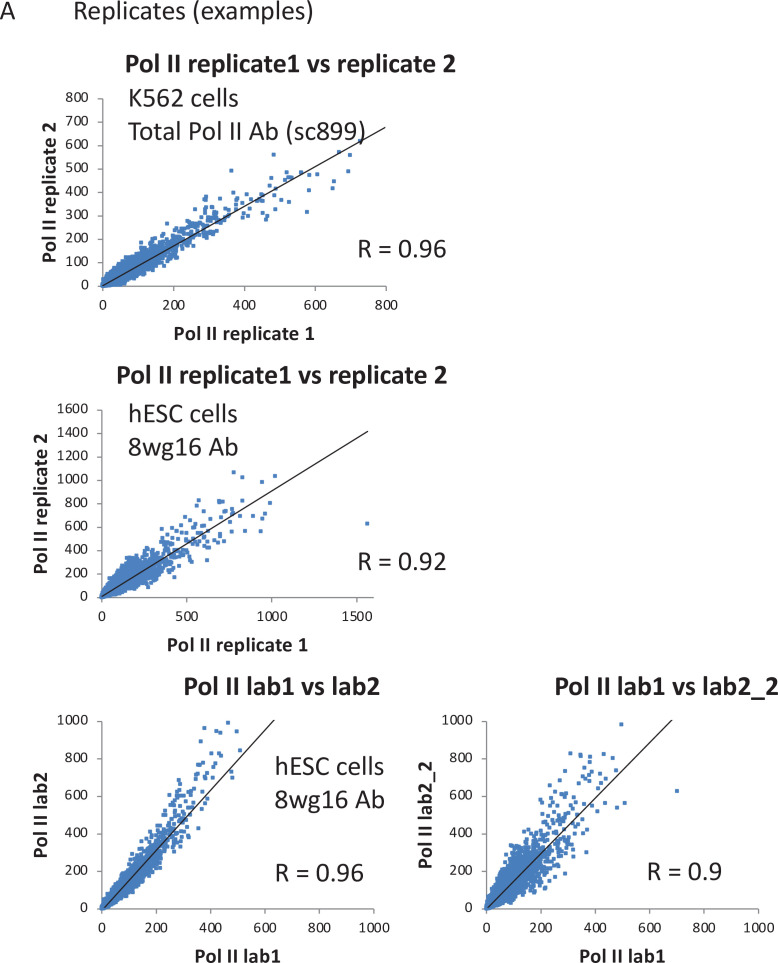 Figure 5—figure supplement 1.