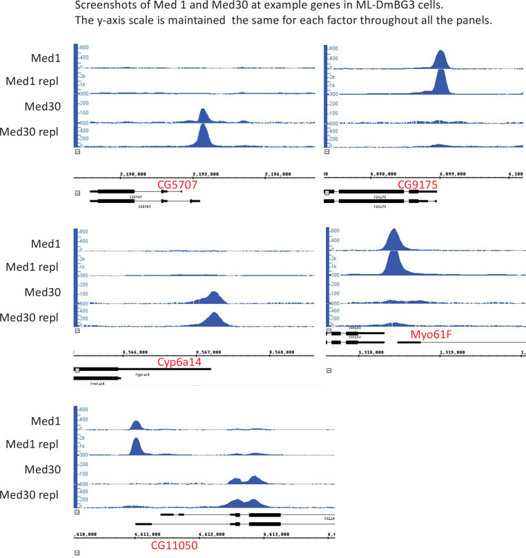 Figure 4—figure supplement 1.