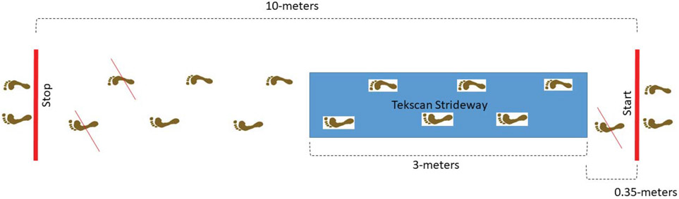 Figure 1: