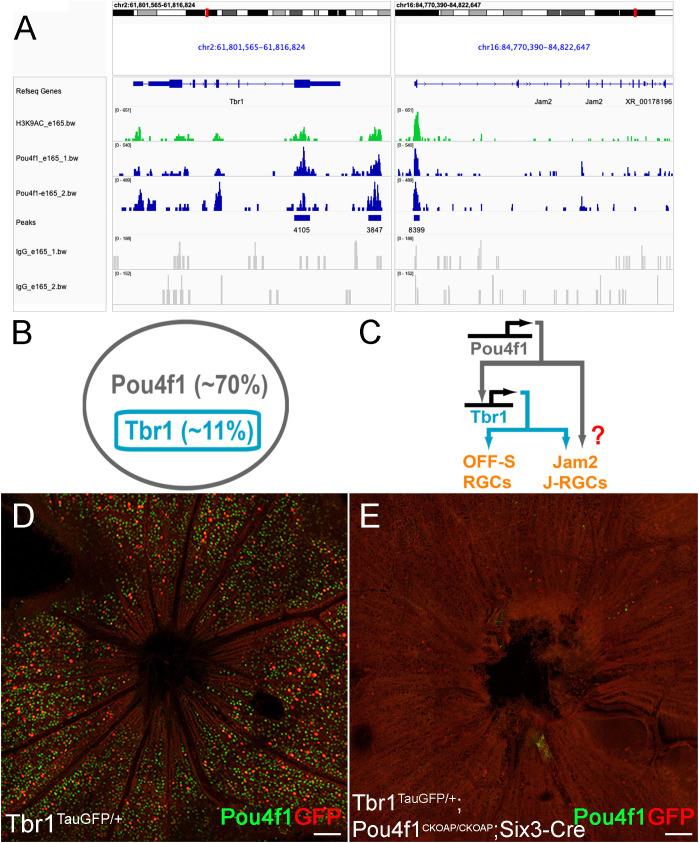 Figure 3