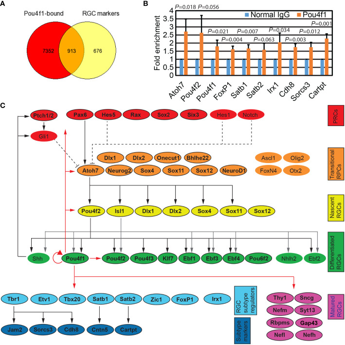 Figure 2