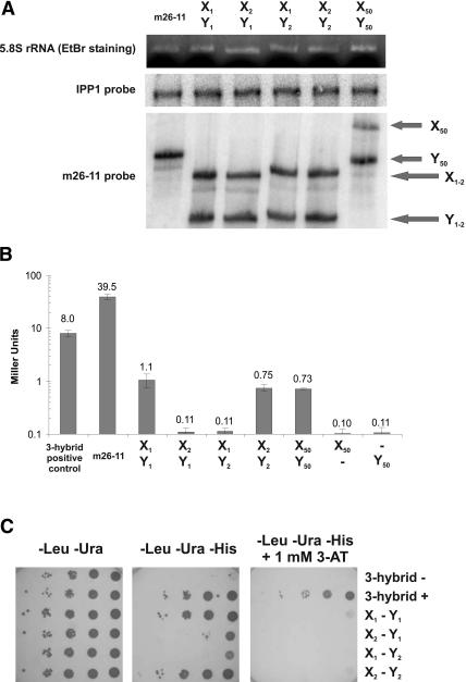 FIGURE 2.