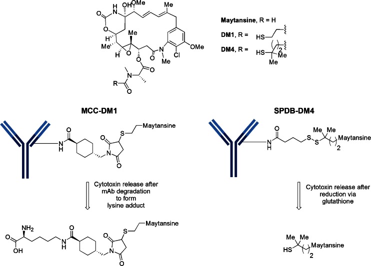 Fig. 13