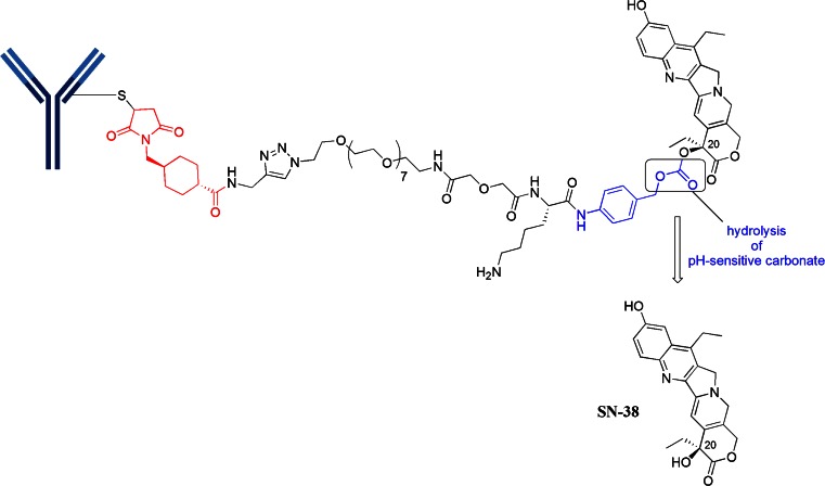 Fig. 9