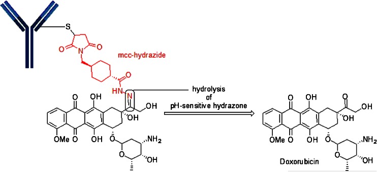 Fig. 10