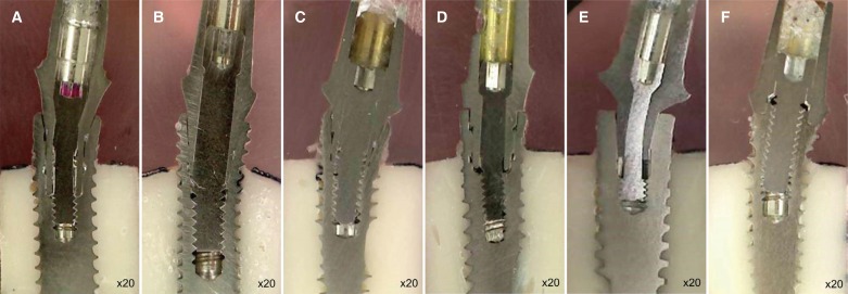 Fig. 4