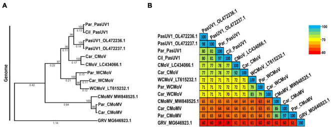 FIGURE 6