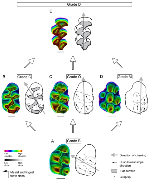 Figure 7