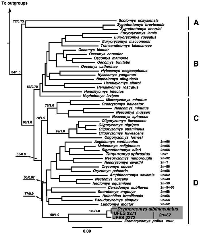 Figure 2.