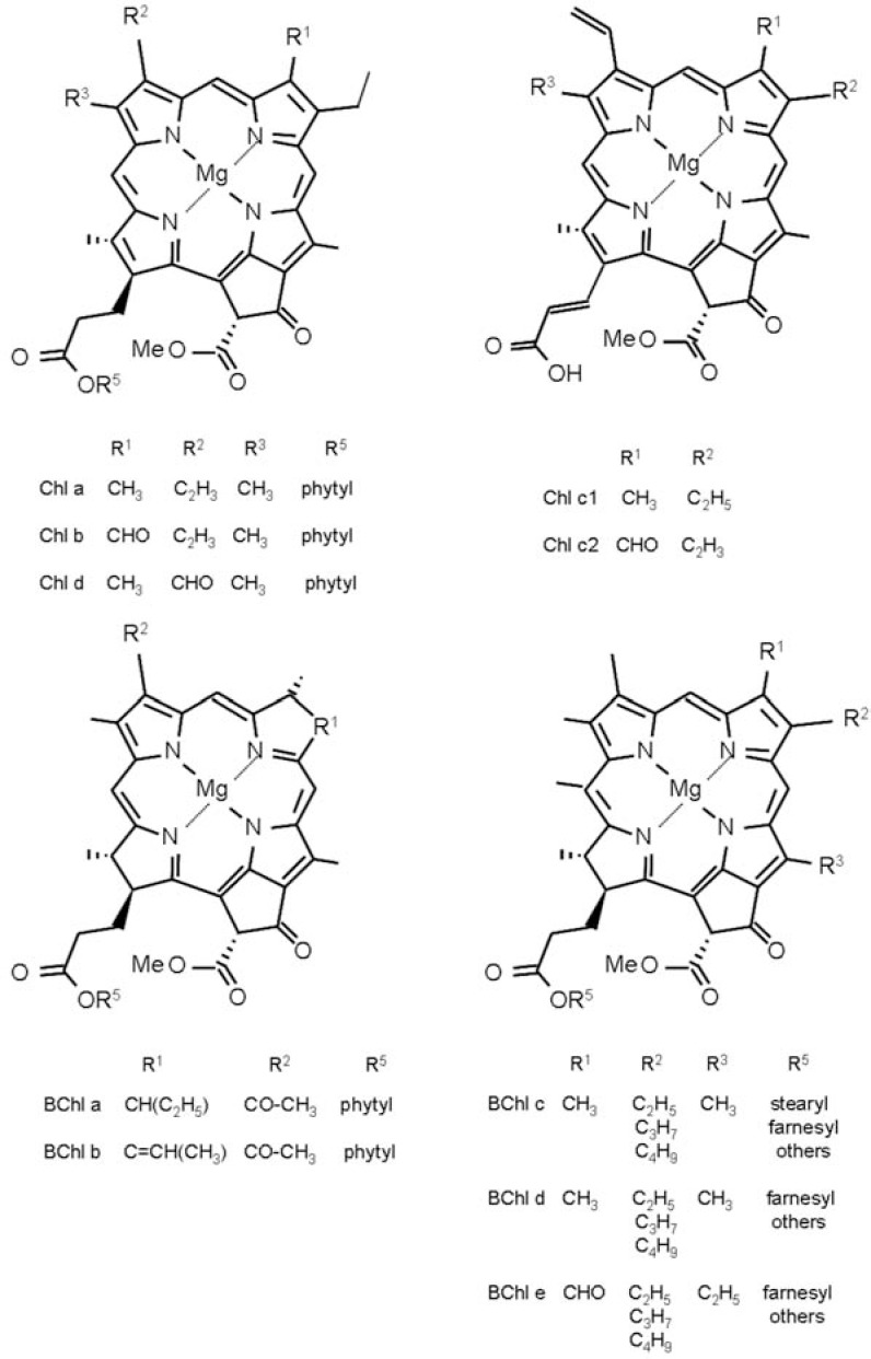 Fig. (3)