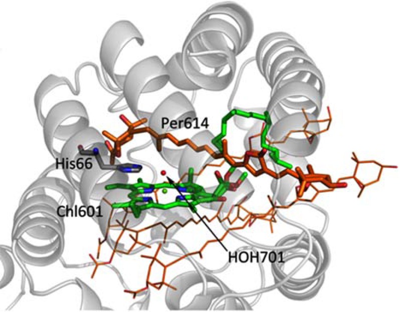 Fig. (7)