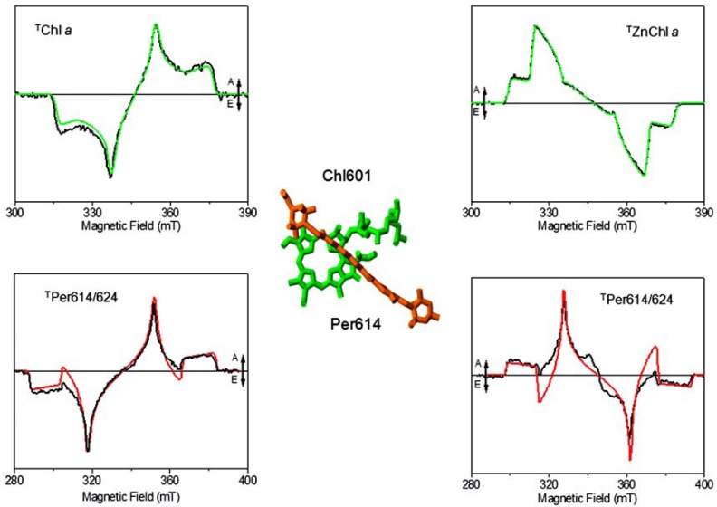 Fig. (6)