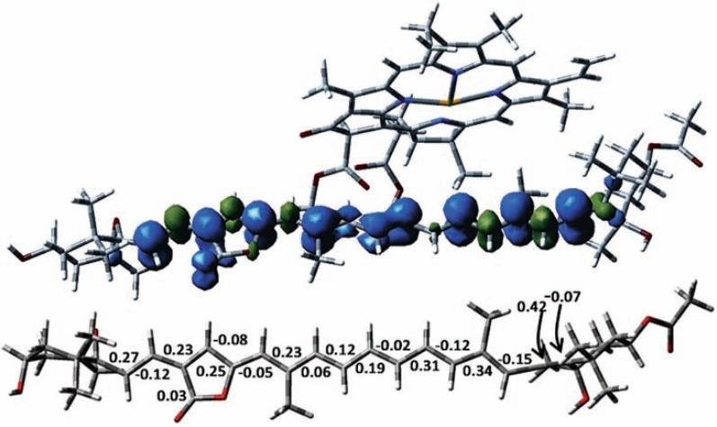 Fig. (8)