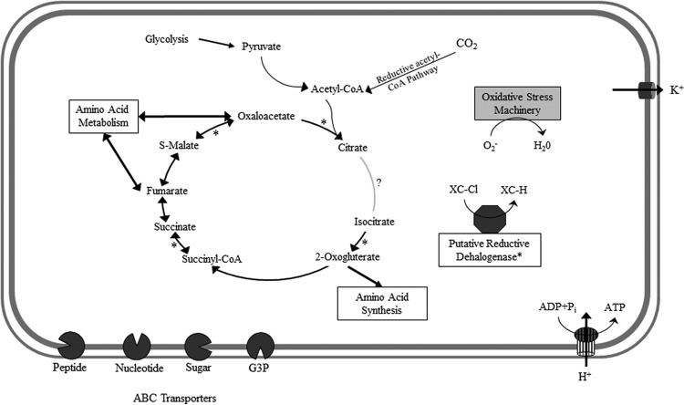 FIG 3