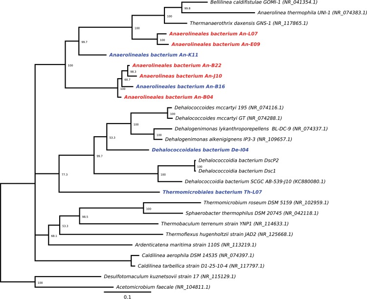 FIG 2