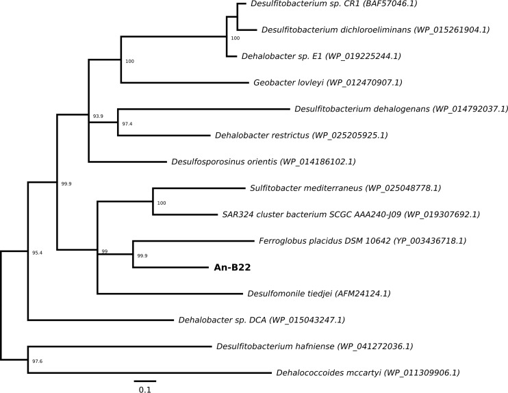 FIG 4