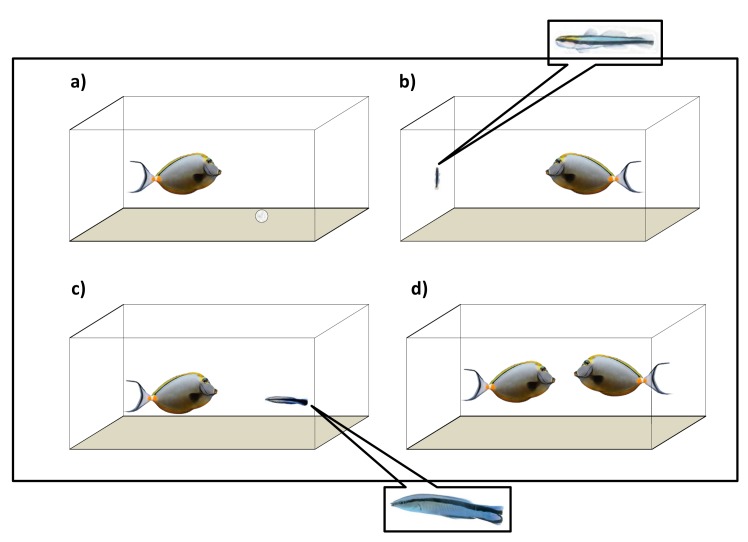 Fig 1