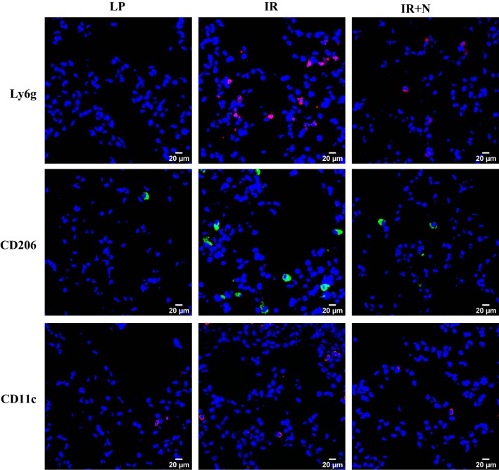 Fig. 4