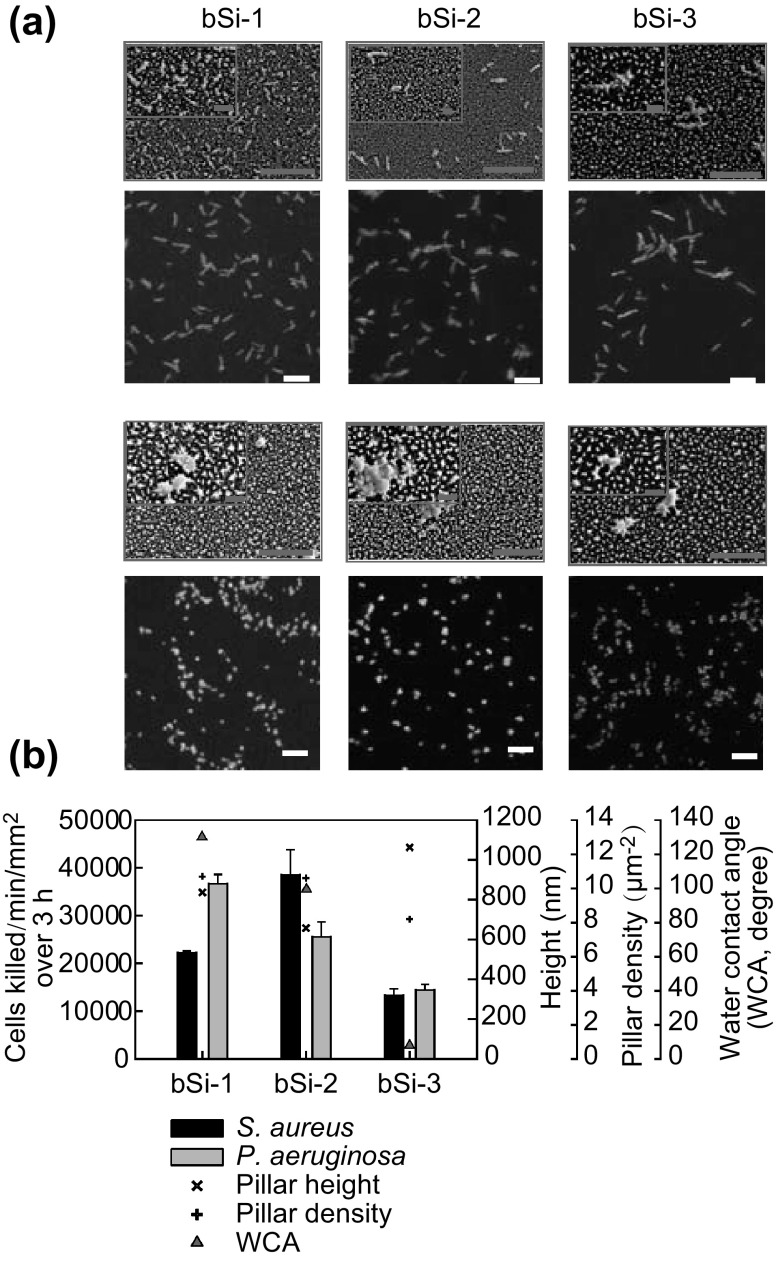 Fig. 4