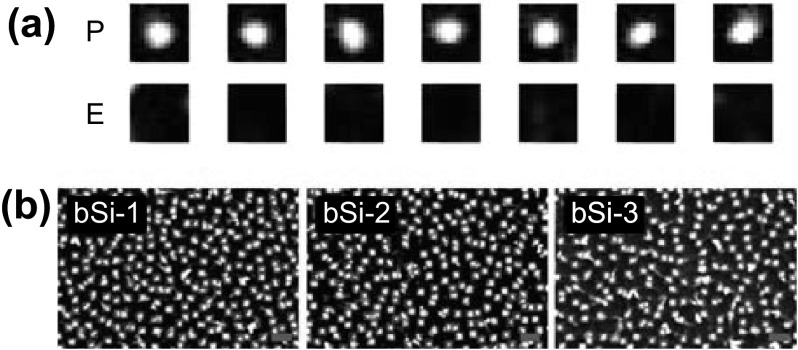 Fig. 1