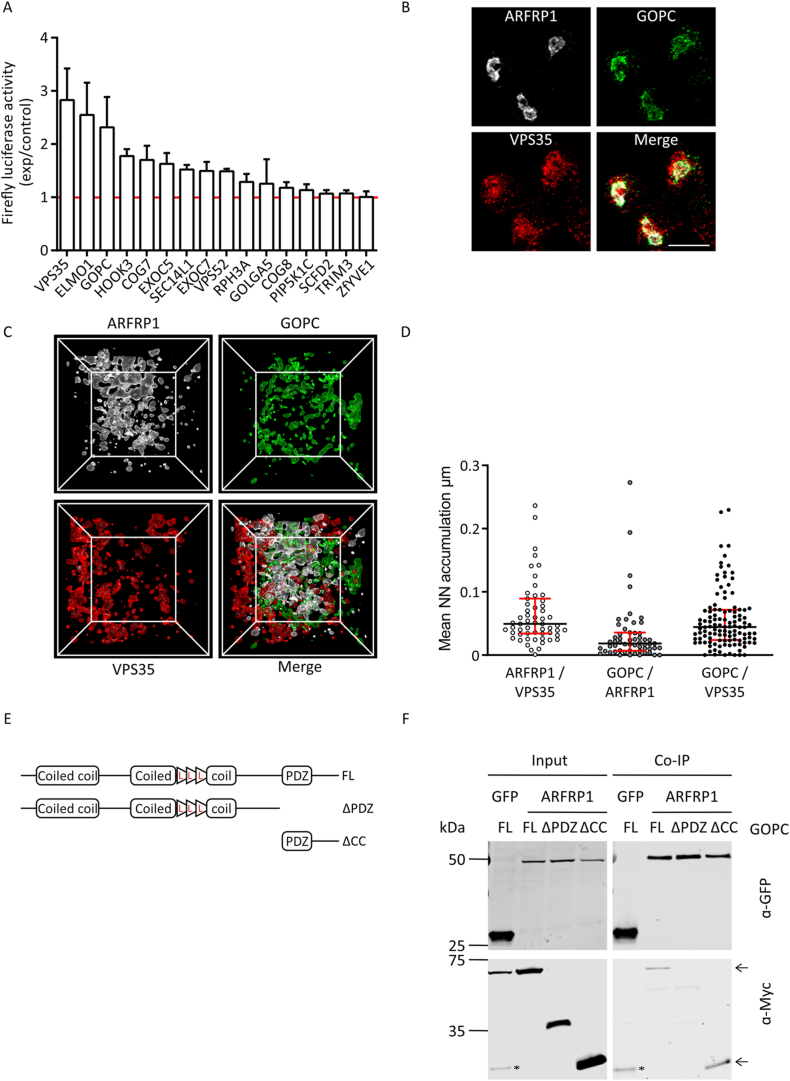 Figure 2