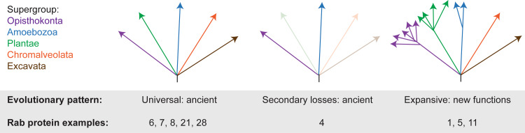 Fig. 3