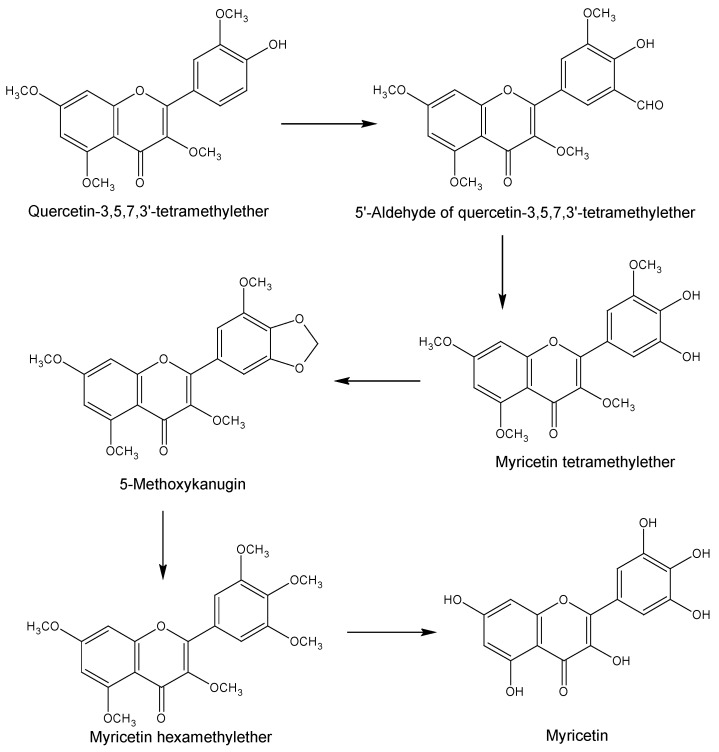 Scheme 2