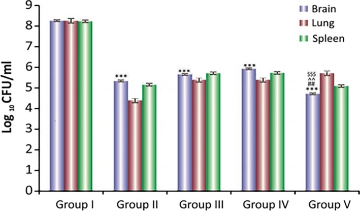 Figure 5