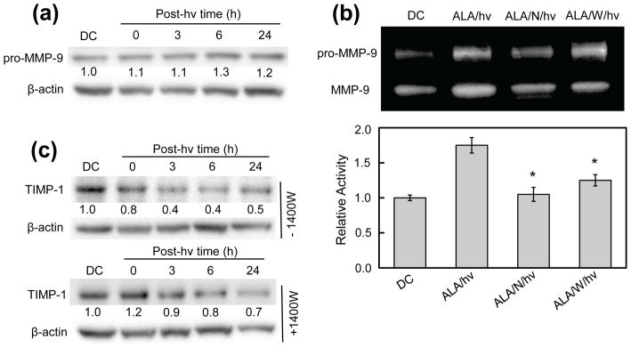 Figure 9