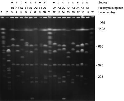 FIG. 1