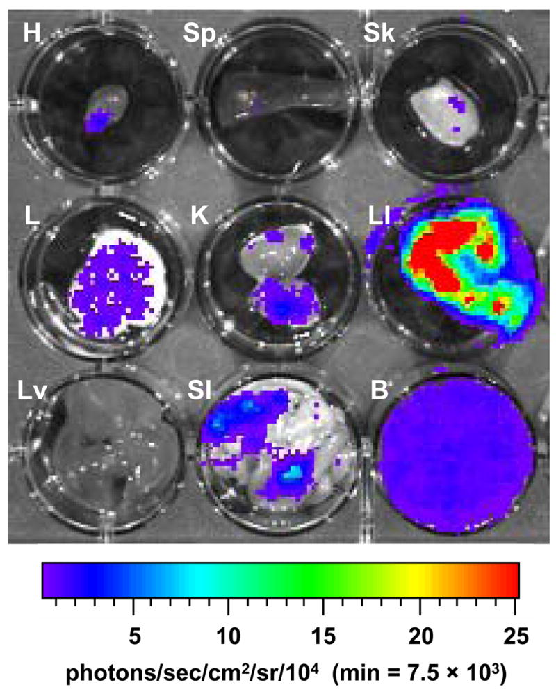 Fig. 4