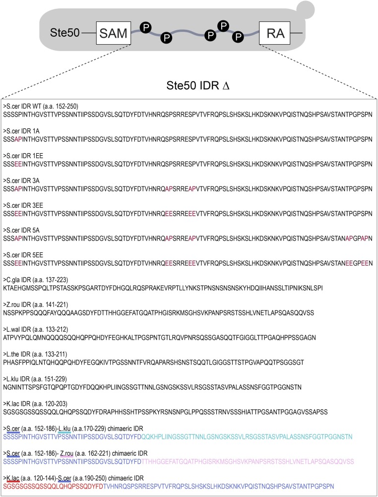 Fig. S4.