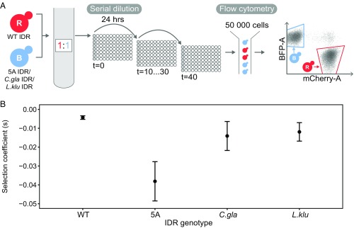 Fig. 3.