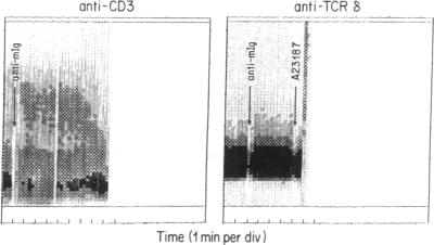 graphic file with name pnas01040-0396-a.jpg