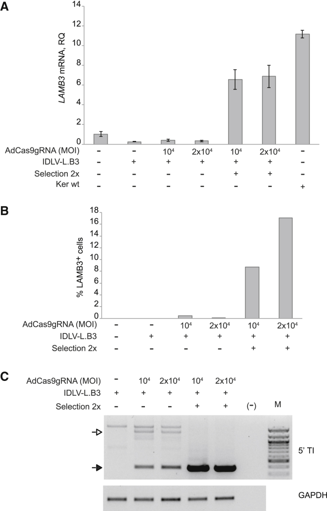 Figure 2