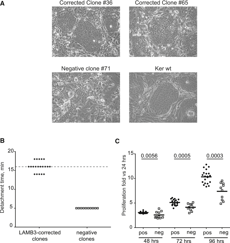 Figure 4