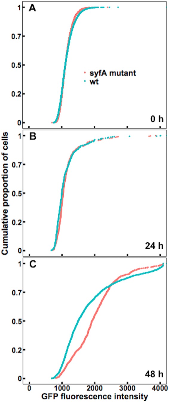 FIG 5